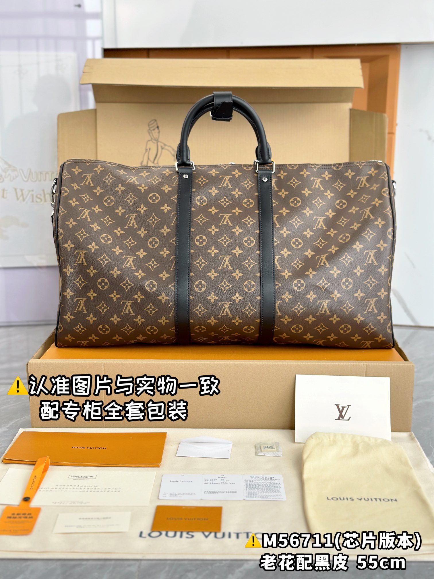 LV Travel Bags